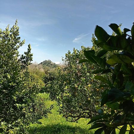 卡拉塔菲米Casa Gelferraro别墅 外观 照片