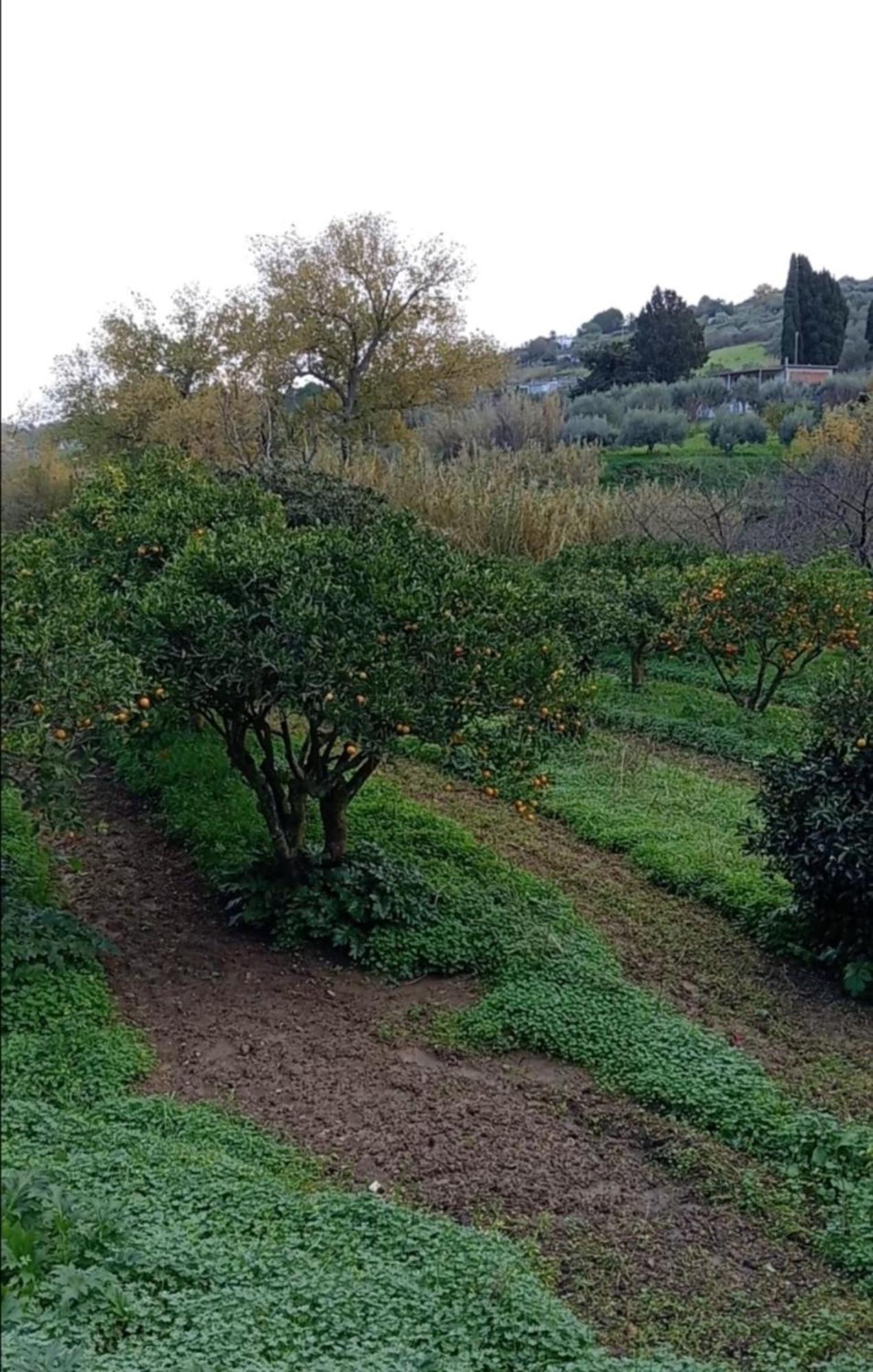卡拉塔菲米Casa Gelferraro别墅 外观 照片